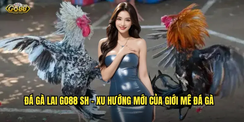 Đá gà lai go88 sh - Sự kết hợp hoàn hảo giữa sức mạnh và kỹ thuật 2 Đá gà lai go88 sh - Xu hướng mới của giới mê đá gà