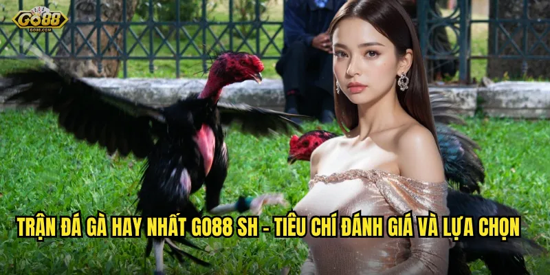 Trận đá gà hay nhất go88 sh - Những màn so găng đỉnh cao không thể bỏ lỡ 2 Trận đá gà hay nhất go88 sh - Tiêu chí đánh giá và lựa chọn