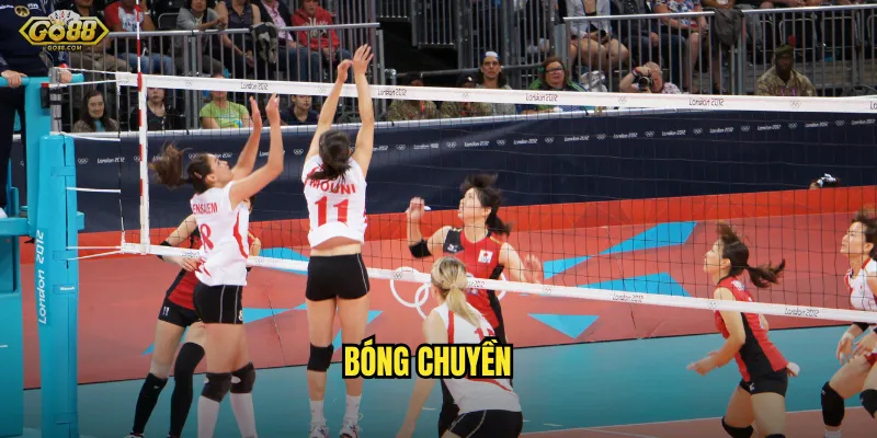 Khám phá thế giới cá cược bóng chuyền go88 sh - Cơ hội thắng lớn mỗi ngày 1 bóng chuyền