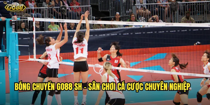 Khám phá thế giới cá cược bóng chuyền go88 sh - Cơ hội thắng lớn mỗi ngày 2 Bóng chuyền go88 sh - Sân chơi cá cược chuyên nghiệp