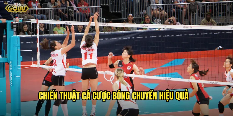 Khám phá thế giới cá cược bóng chuyền go88 sh - Cơ hội thắng lớn mỗi ngày 3 Chiến thuật cá cược bóng chuyền hiệu quả