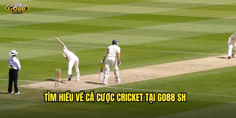Tìm hiểu về cá cược cricket tại go88 sh