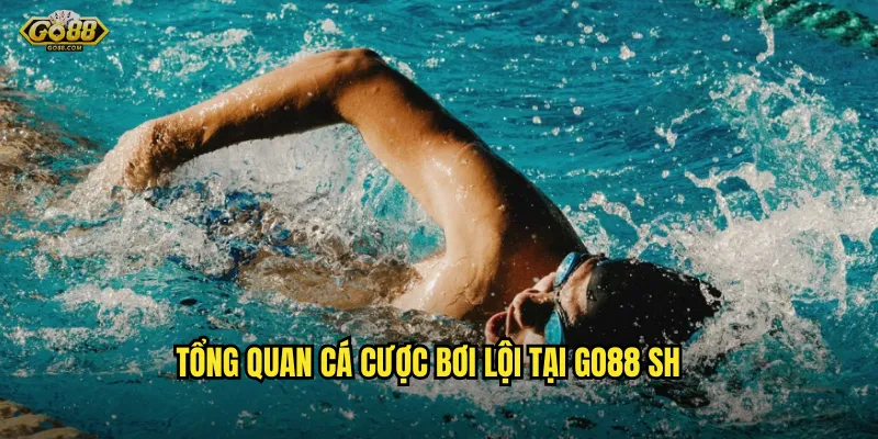 Bơi lội go88 sh - Lướt sóng cá cược thể thao đầy thú vị 2 Tổng quan cá cược bơi lội tại go88 sh