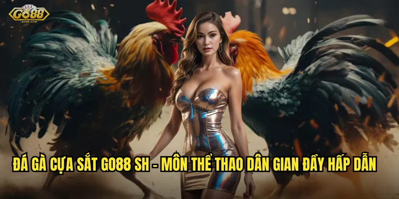 Đá gà cựa sắt go88 sh - Màn so găng kịch tính, cá cược đỉnh cao 2 Đá gà cựa sắt go88 sh - Môn thể thao dân gian đầy hấp dẫn